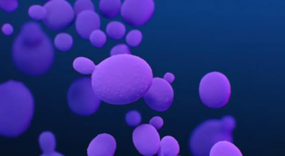 Experts Warn, Candida Auris Detected in CT